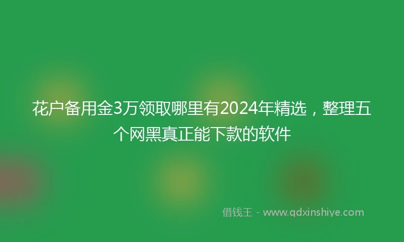 花户备用金3万领取哪里有2024年精选，整理五个网黑真正能下款的软件