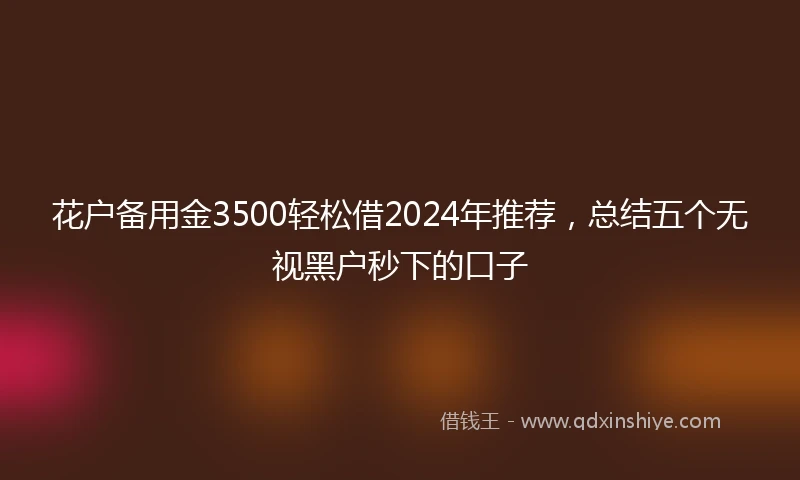 花户备用金3500轻松借2024年推荐，总结五个无视黑户秒下的口子