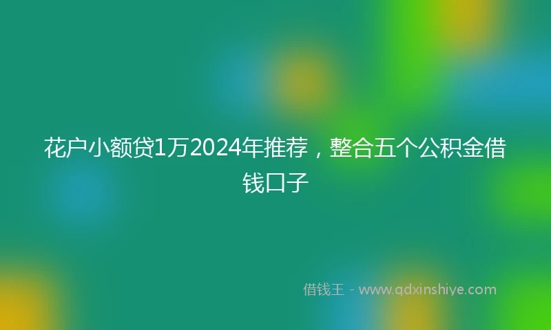 花户小额贷1万2024年推荐，整合五个公积金借钱口子