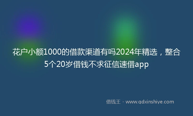 花户小额1000的借款渠道有吗2024年精选，整合5个20岁借钱不求征信速借app