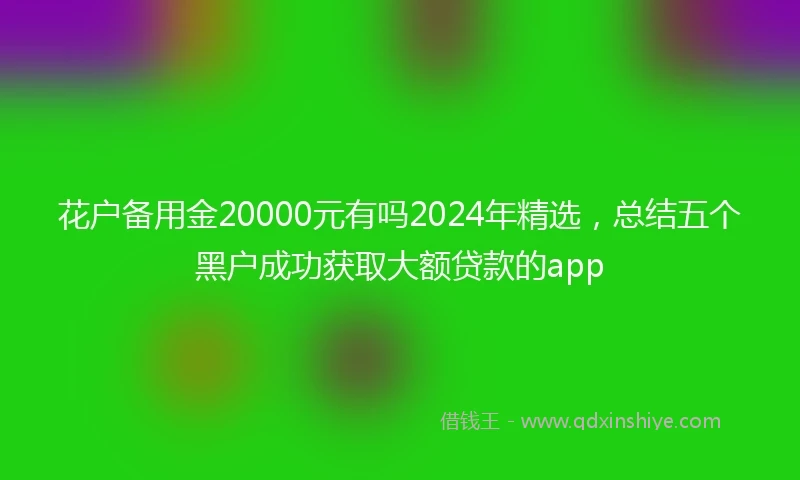 花户备用金20000元有吗2024年精选，总结五个黑户成功获取大额贷款的app