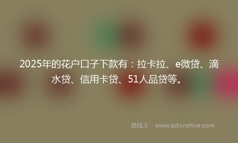 2025年的花户口子下款有：拉卡拉、e微贷、滴水贷、信用卡贷、51人品贷等。