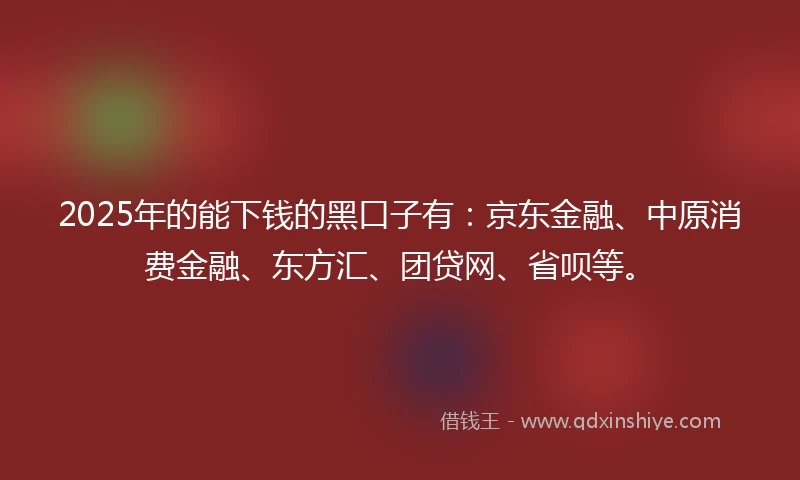 2025年的能下钱的黑口子有：京东金融、中原消费金融、东方汇、团贷网、省呗等。