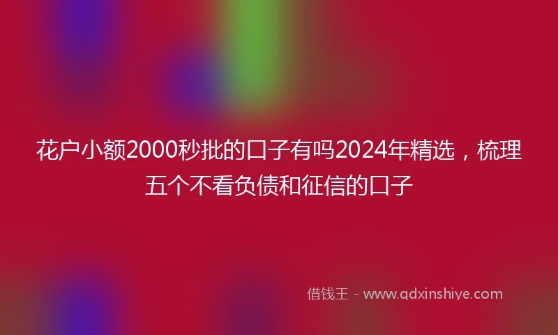 花户小额2000秒批的口子有吗2024年精选，梳理五个不看负债和征信的口子