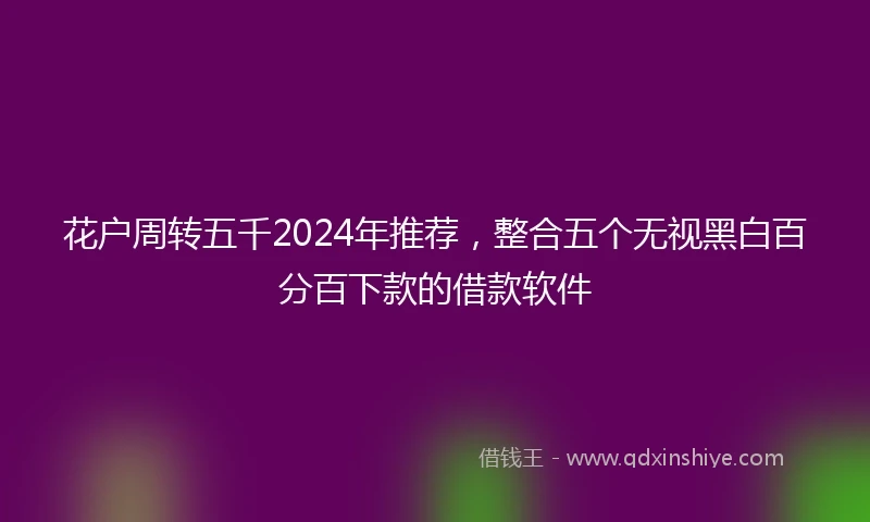 花户周转五千2024年推荐，整合五个无视黑白百分百下款的借款软件