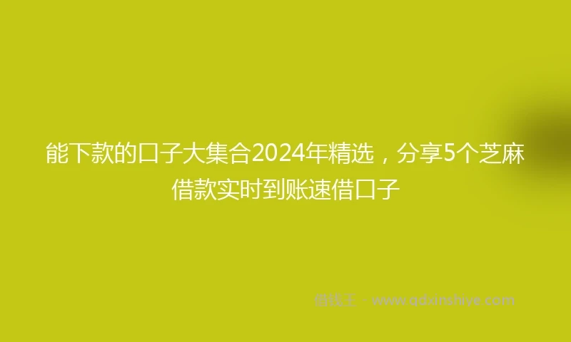 能下款的口子大集合2024年精选，分享5个芝麻借款实时到账速借口子