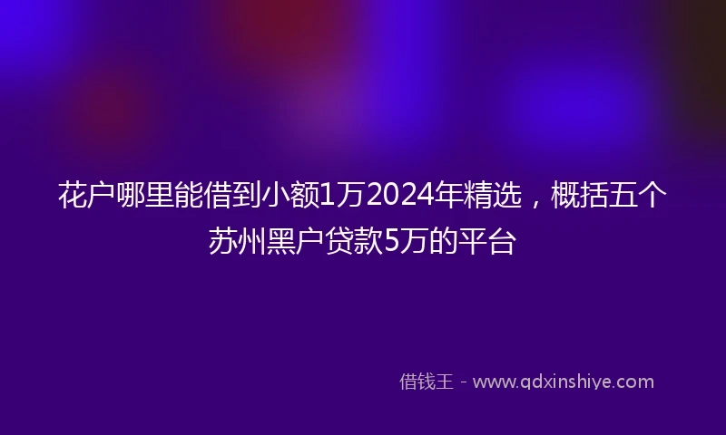 花户哪里能借到小额1万2024年精选，概括五个苏州黑户贷款5万的平台