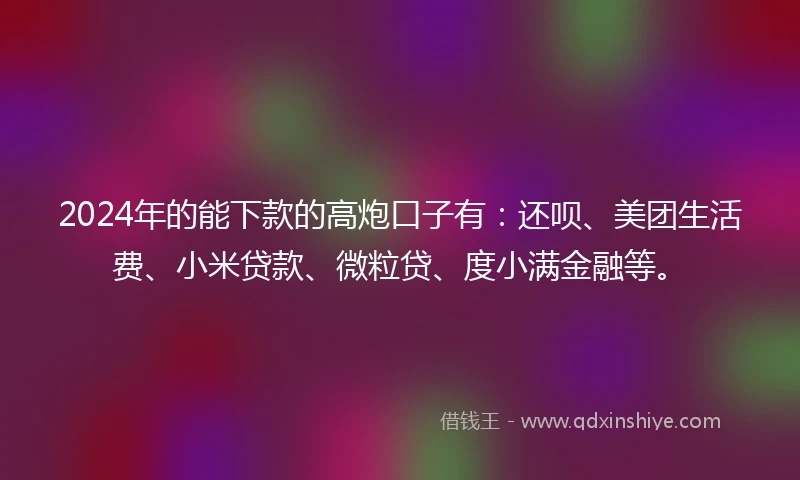 2024年的能下款的高炮口子有：还呗、美团生活费、小米贷款、微粒贷、度小满金融等。