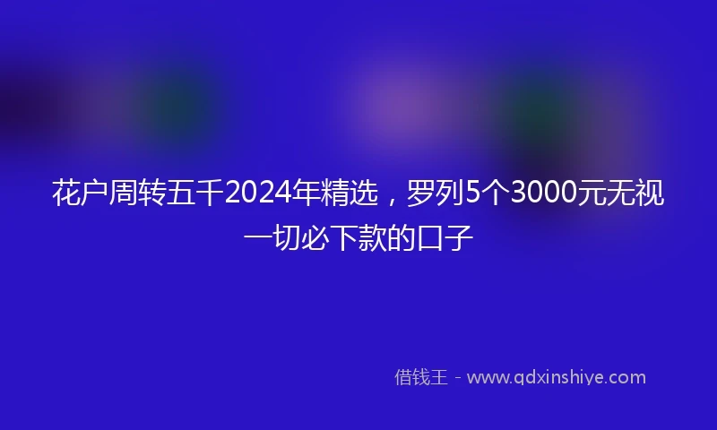 花户周转五千2024年精选，罗列5个3000元无视一切必下款的口子