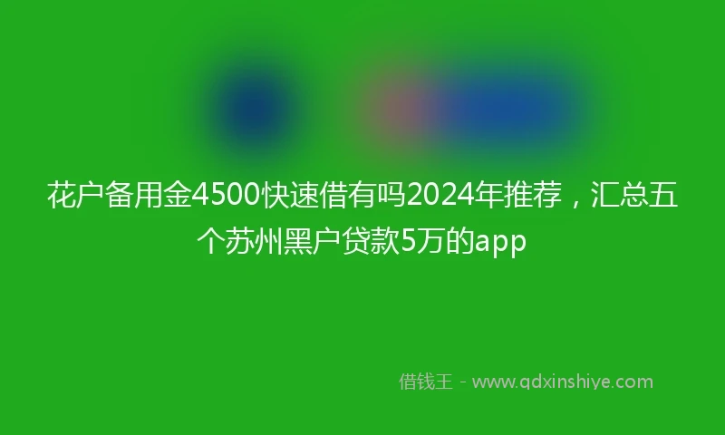 花户备用金4500快速借有吗2024年推荐，汇总五个苏州黑户贷款5万的app