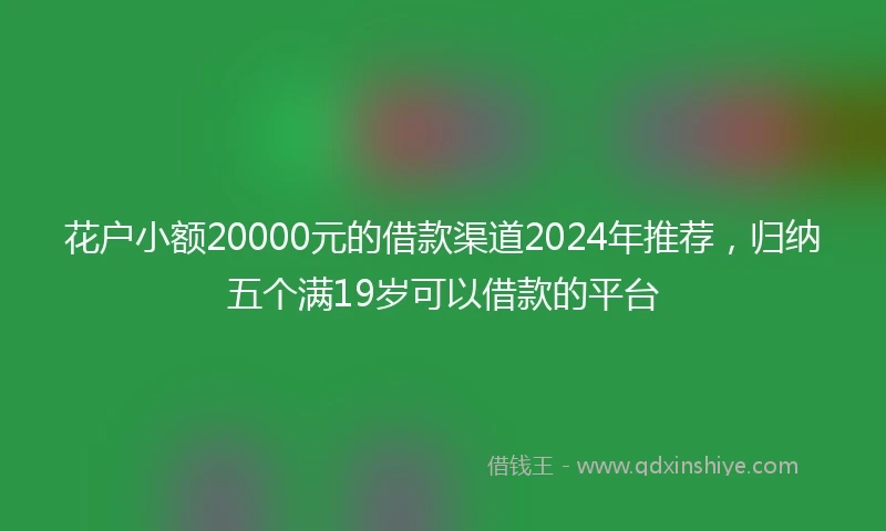 花户小额20000元的借款渠道2024年推荐，归纳五个满19岁可以借款的平台