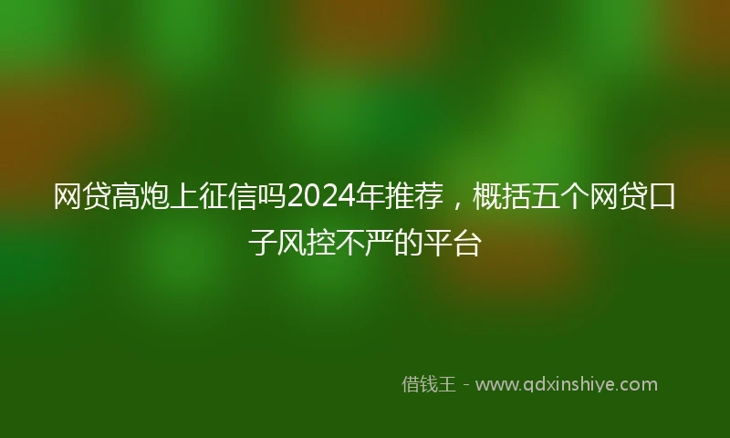 网贷高炮上征信吗2024年推荐，概括五个网贷口子风控不严的平台