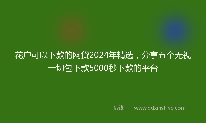 花户可以下款的网贷2024年精选，分享五个无视一切包下款5000秒下款的平台