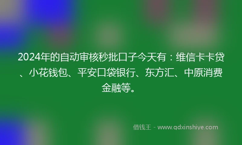2024年的自动审核秒批口子今天有：维信卡卡贷、小花钱包、平安口袋银行、东方汇、中原消费金融等。