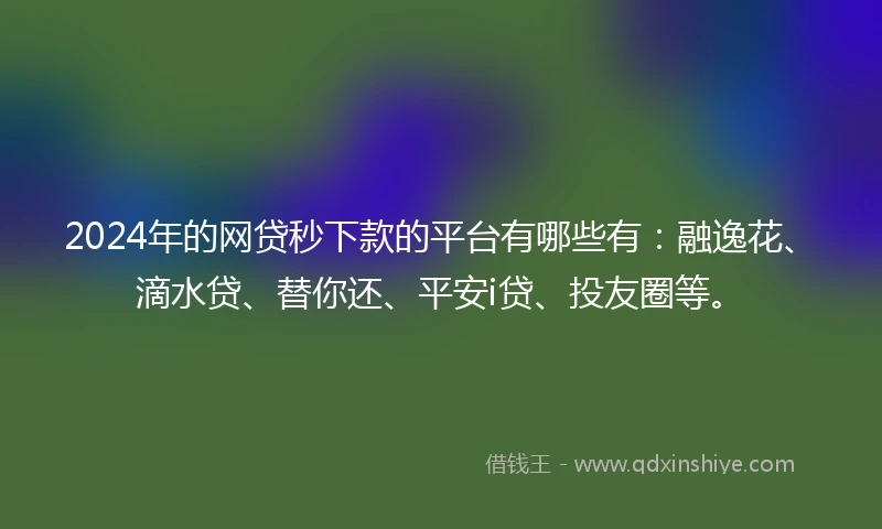 2024年的网贷秒下款的平台有哪些有：融逸花、滴水贷、替你还、平安i贷、投友圈等。