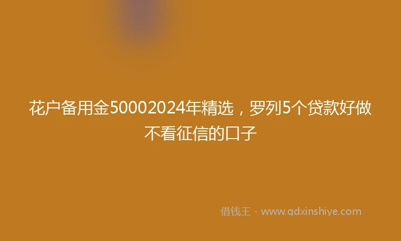 花户备用金50002024年精选，罗列5个贷款好做不看征信的口子