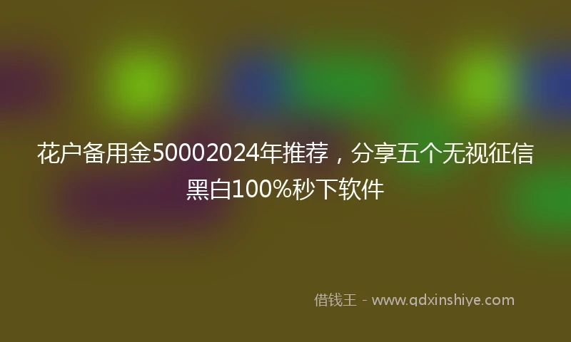 花户备用金50002024年推荐，分享五个无视征信黑白100%秒下软件