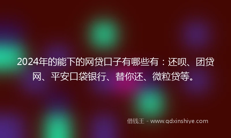 2024年的能下的网贷口子有哪些有：还呗、团贷网、平安口袋银行、替你还、微粒贷等。