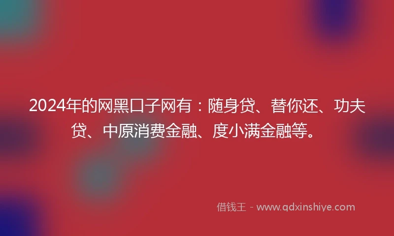 2024年的网黑口子网有：随身贷、替你还、功夫贷、中原消费金融、度小满金融等。
