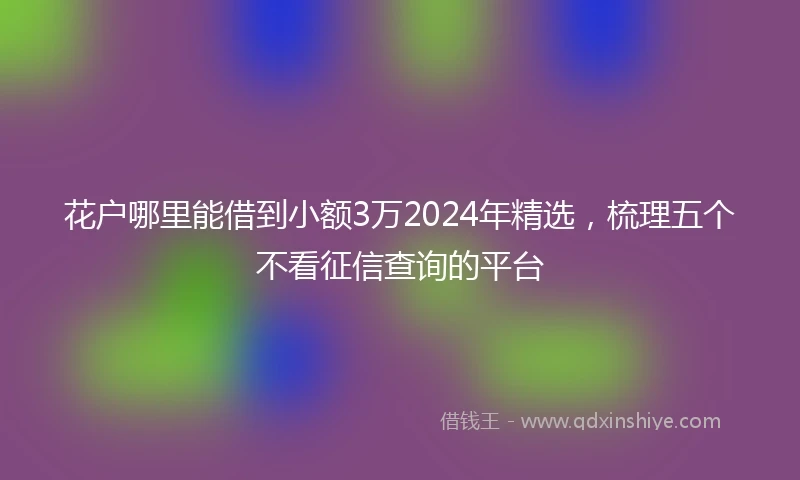 花户哪里能借到小额3万2024年精选，梳理五个不看征信查询的平台