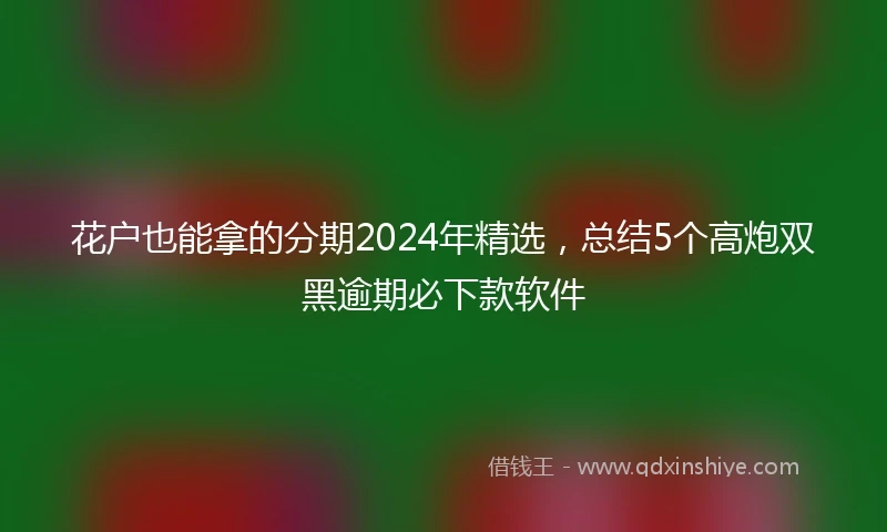 花户也能拿的分期2024年精选，总结5个高炮双黑逾期必下款软件