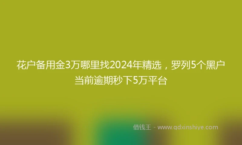 花户备用金3万哪里找2024年精选，罗列5个黑户当前逾期秒下5万平台