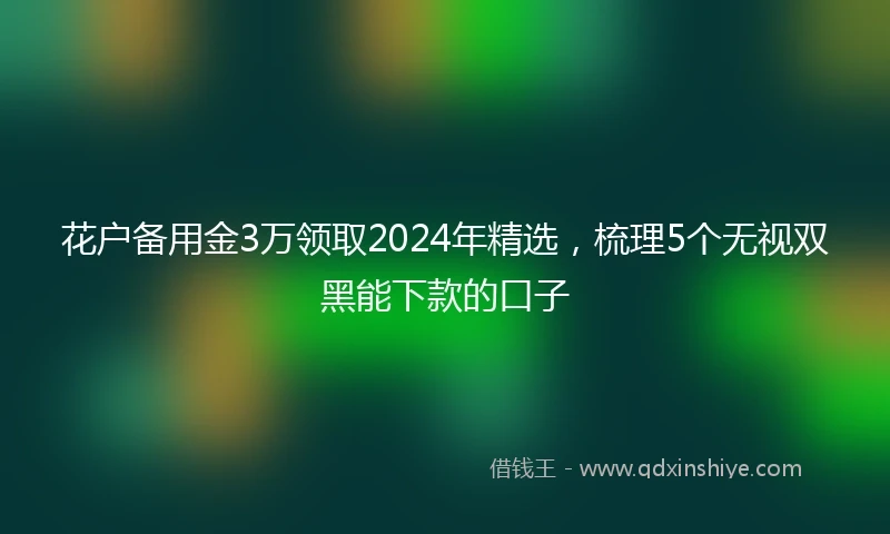 花户备用金3万领取2024年精选，梳理5个无视双黑能下款的口子