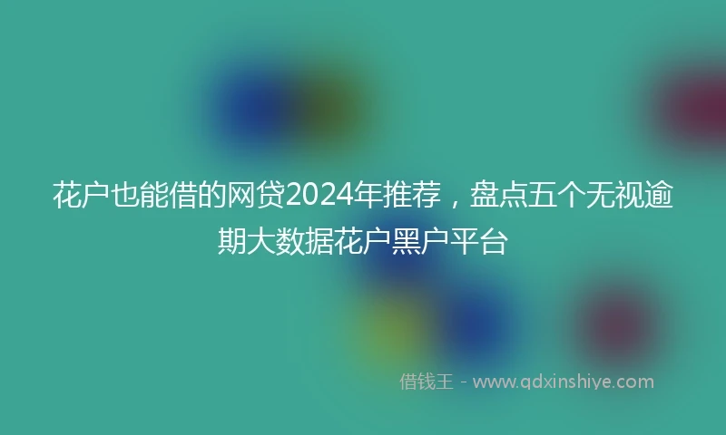 花户也能借的网贷2024年推荐，盘点五个无视逾期大数据花户黑户平台