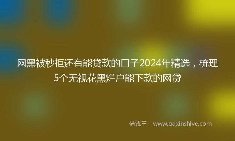 网黑被秒拒还有能贷款的口子2024年精选，梳理5个无视花黑烂户能下款的网贷