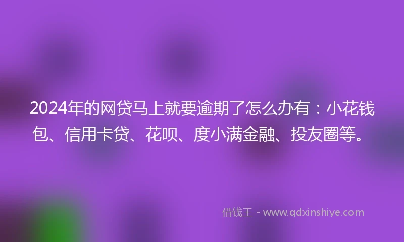 2024年的网贷马上就要逾期了怎么办有：小花钱包、信用卡贷、花呗、度小满金融、投友圈等。
