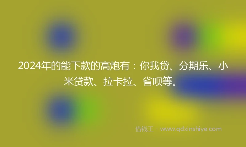 2024年的能下款的高炮有：你我贷、分期乐、小米贷款、拉卡拉、省呗等。