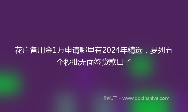 花户备用金1万申请哪里有2024年精选，罗列五个秒批无面签贷款口子