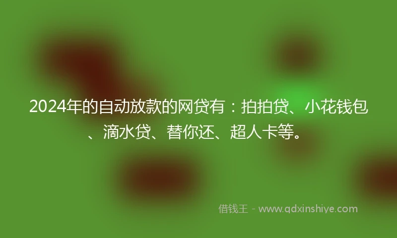 2024年的自动放款的网贷有：拍拍贷、小花钱包、滴水贷、替你还、超人卡等。