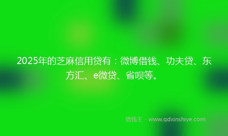 2025年的芝麻信用贷有：微博借钱、功夫贷、东方汇、e微贷、省呗等。