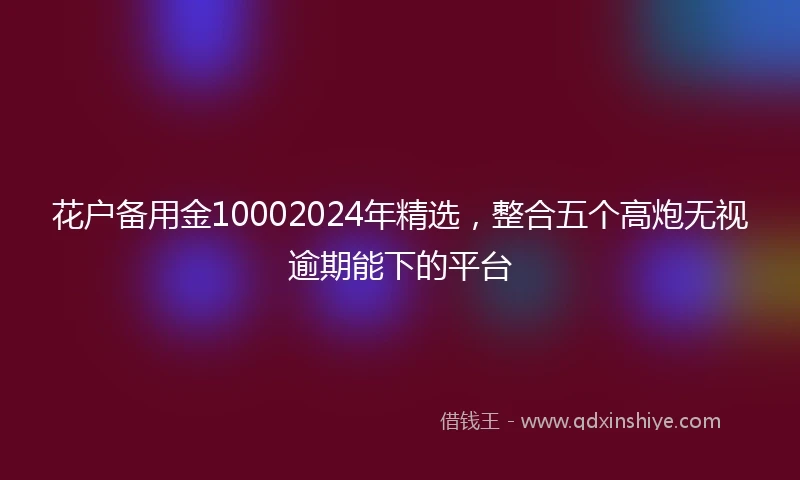 花户备用金10002024年精选，整合五个高炮无视逾期能下的平台