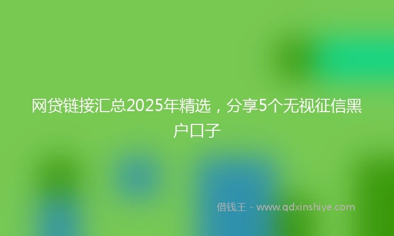 网贷链接汇总2025年精选，分享5个无视征信黑户口子