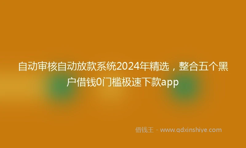 自动审核自动放款系统2024年精选，整合五个黑户借钱0门槛极速下款app