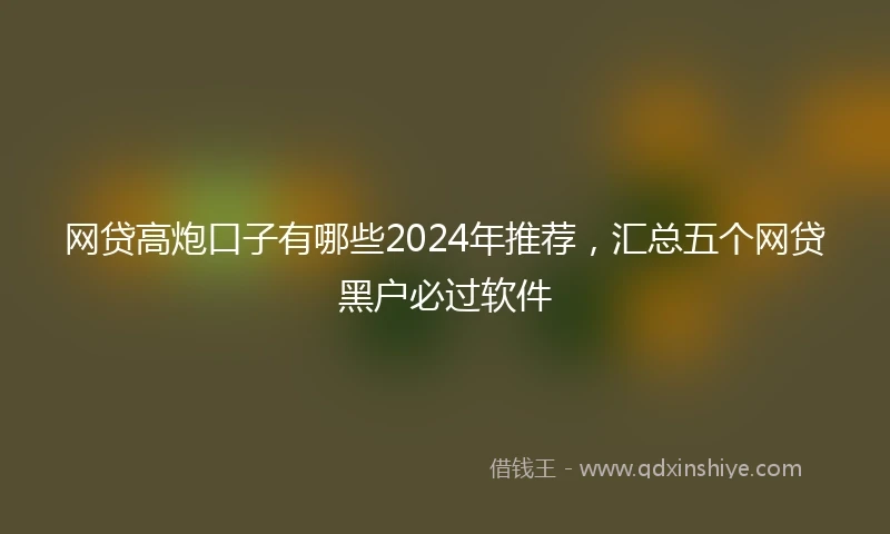 网贷高炮口子有哪些2024年推荐，汇总五个网贷黑户必过软件
