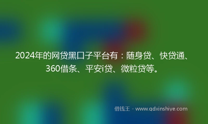 2024年的网贷黑口子平台有：随身贷、快贷通、360借条、平安i贷、微粒贷等。