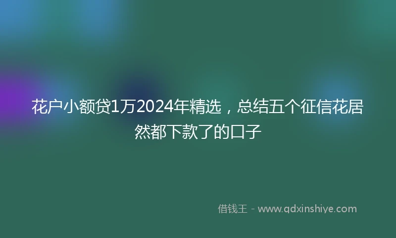花户小额贷1万2024年精选，总结五个征信花居然都下款了的口子