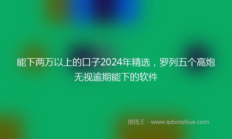 能下两万以上的口子2024年精选，罗列五个高炮无视逾期能下的软件