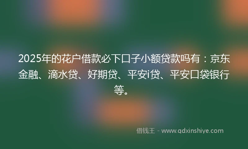 2025年的花户借款必下口子小额贷款吗有：京东金融、滴水贷、好期贷、平安i贷、平安口袋银行等。
