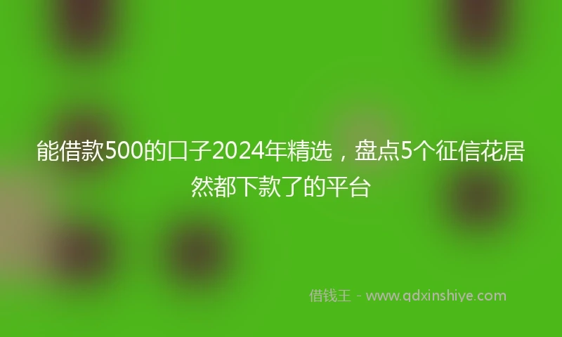 能借款500的口子2024年精选，盘点5个征信花居然都下款了的平台