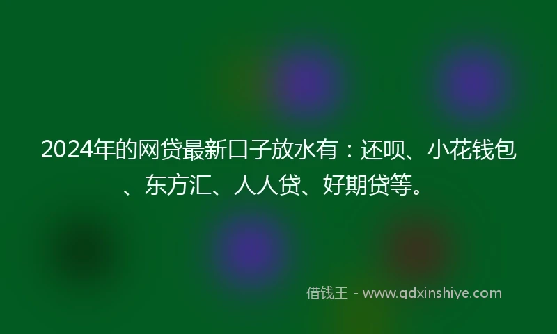 2024年的网贷最新口子放水有：还呗、小花钱包、东方汇、人人贷、好期贷等。