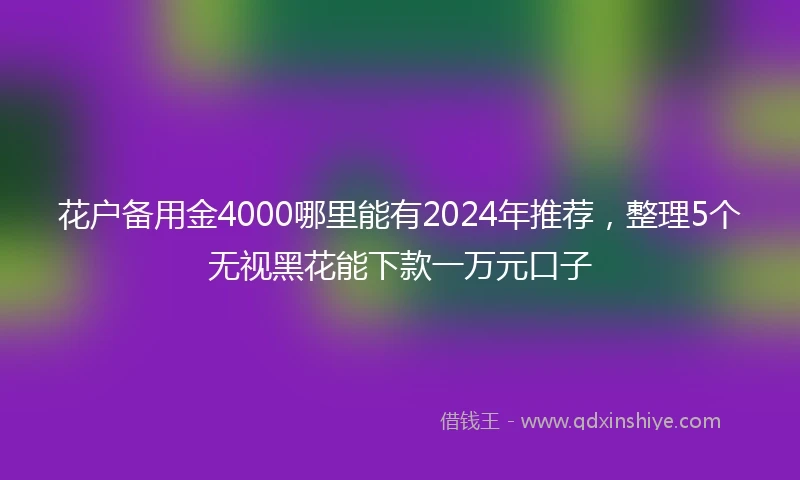 花户备用金4000哪里能有2024年推荐，整理5个无视黑花能下款一万元口子