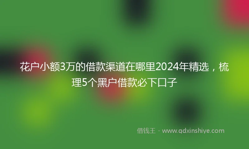花户小额3万的借款渠道在哪里2024年精选，梳理5个黑户借款必下口子