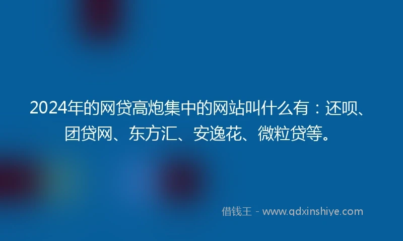 2024年的网贷高炮集中的网站叫什么有：还呗、团贷网、东方汇、安逸花、微粒贷等。