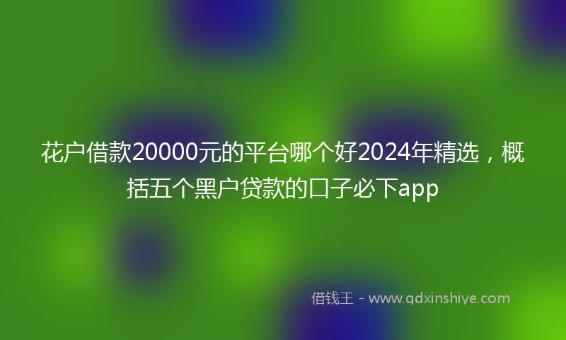 花户借款20000元的平台哪个好2024年精选，概括五个黑户贷款的口子必下app