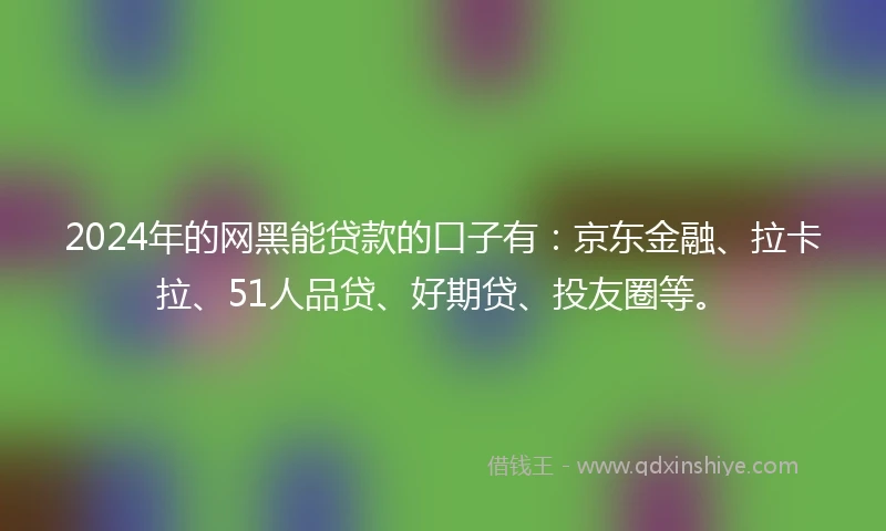 2024年的网黑能贷款的口子有：京东金融、拉卡拉、51人品贷、好期贷、投友圈等。