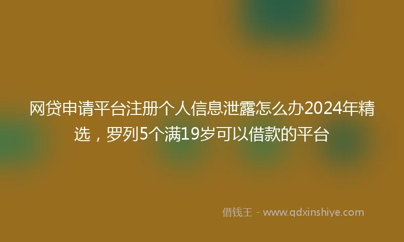网贷申请平台注册个人信息泄露怎么办2024年精选，罗列5个满19岁可以借款的平台